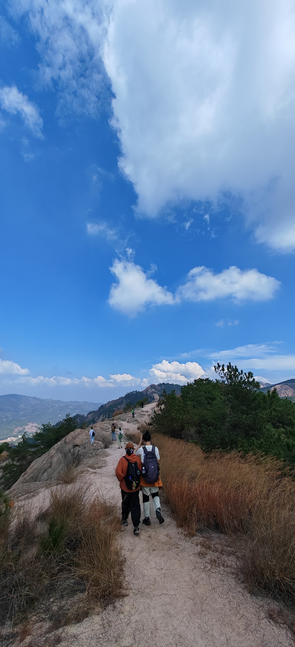 微信图片_2024101912163316