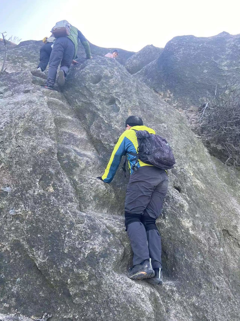 微信图片_20241106184910