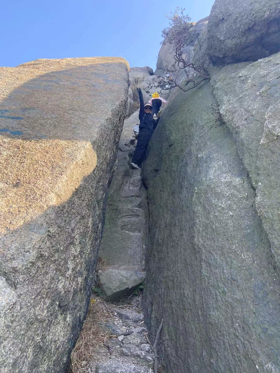 微信图片_20241106184941