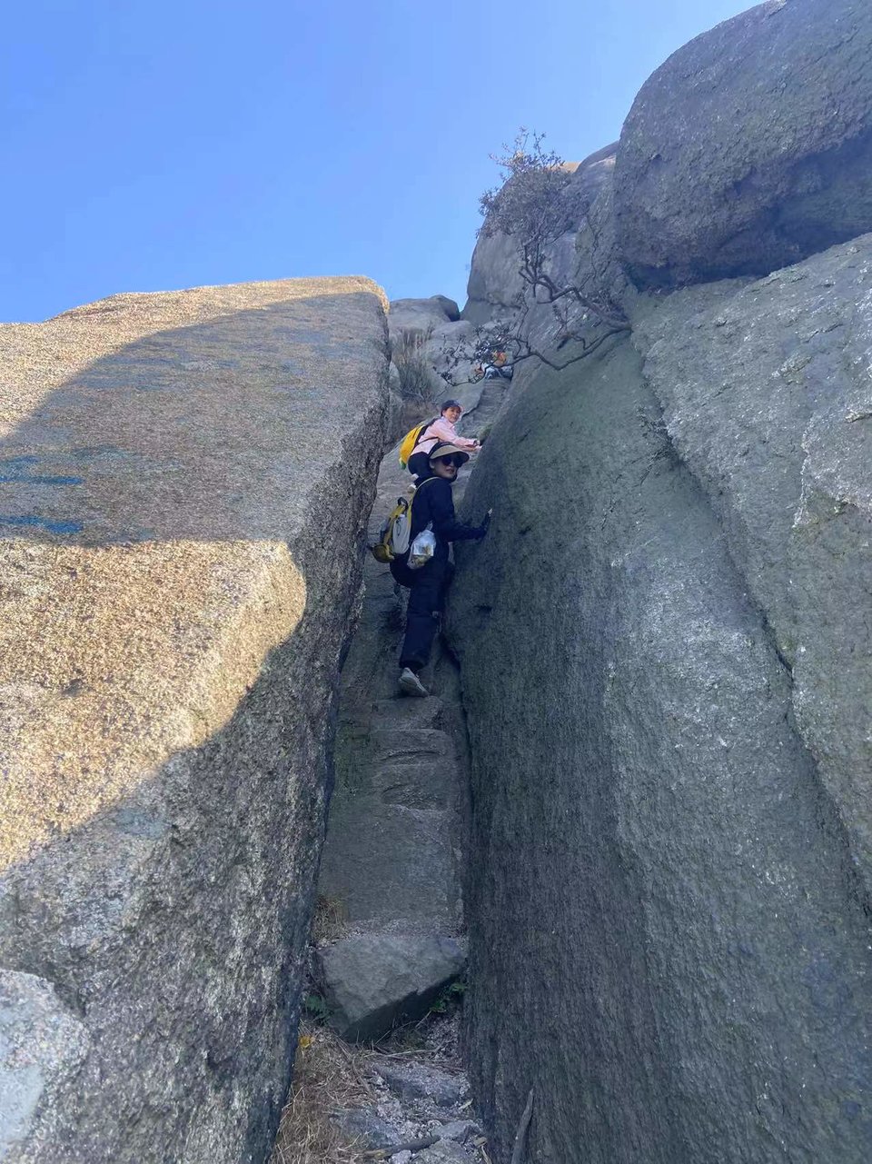 微信图片_20241106184945