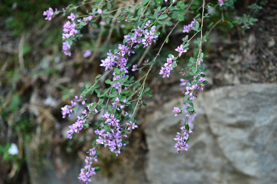 微信图片_20241106185225