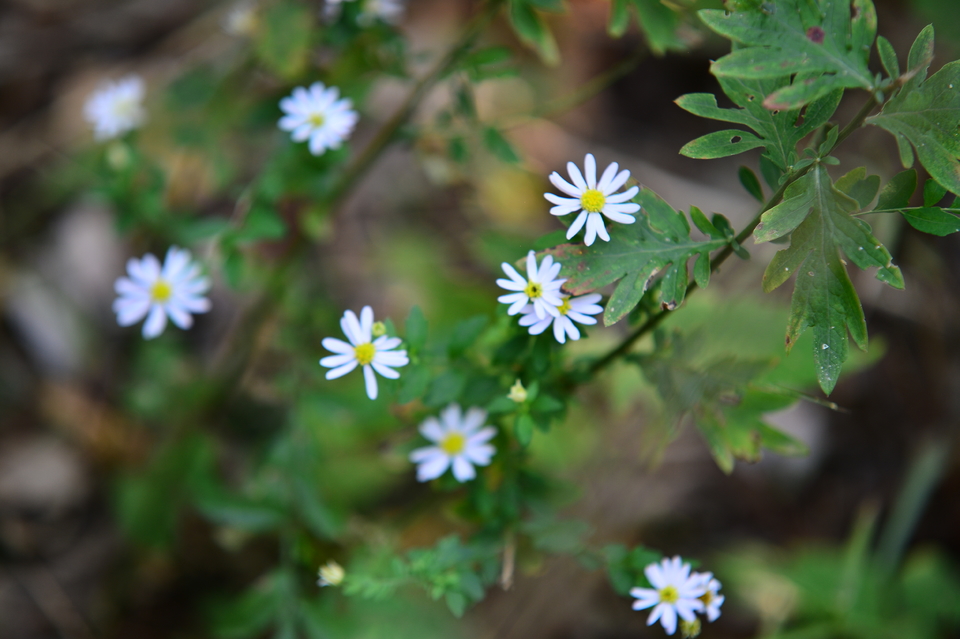 微信图片_20241106185238