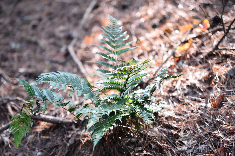 微信图片_20241106185247