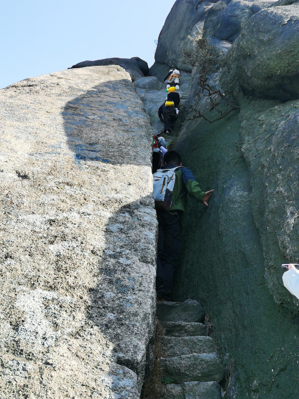 微信图片_20241106185352