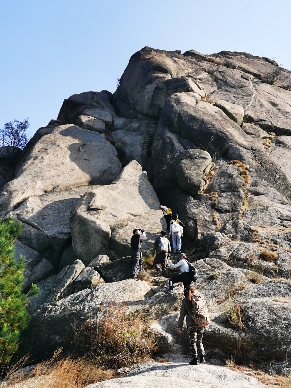 微信图片_20241106185747