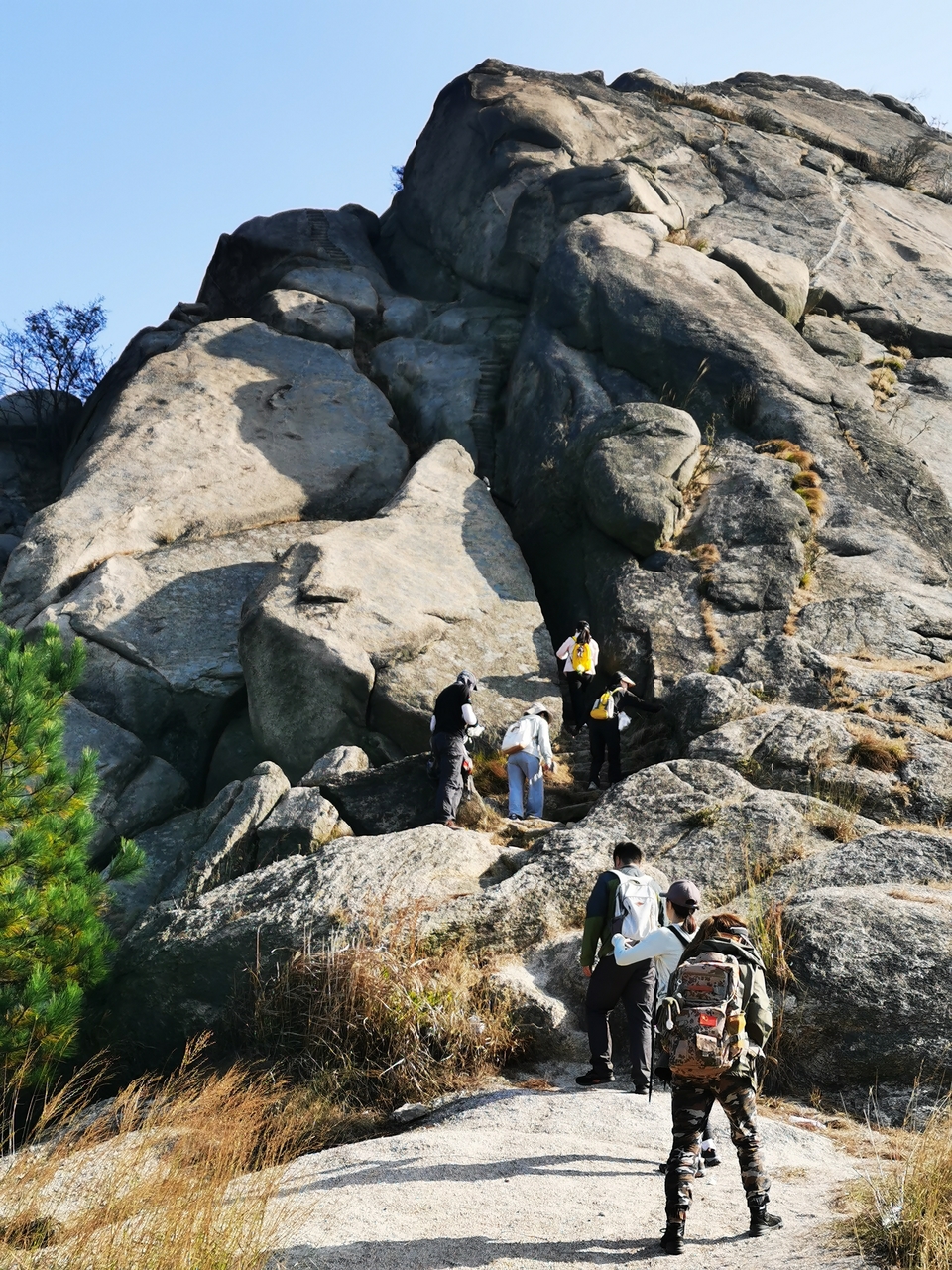 微信图片_20241106185755