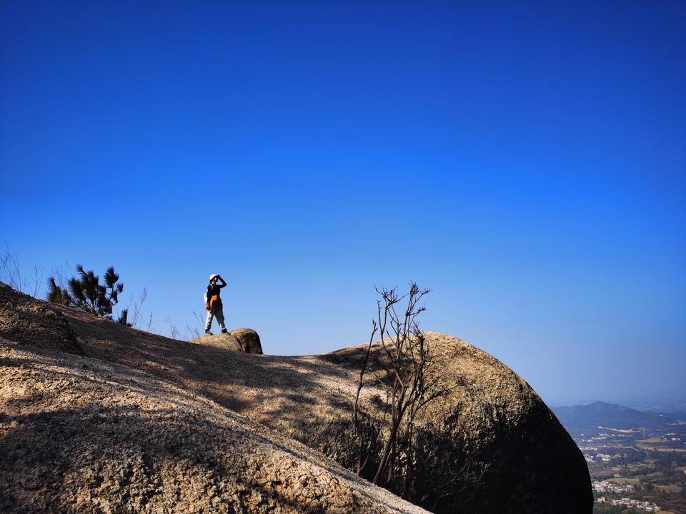 微信图片_20241106185802