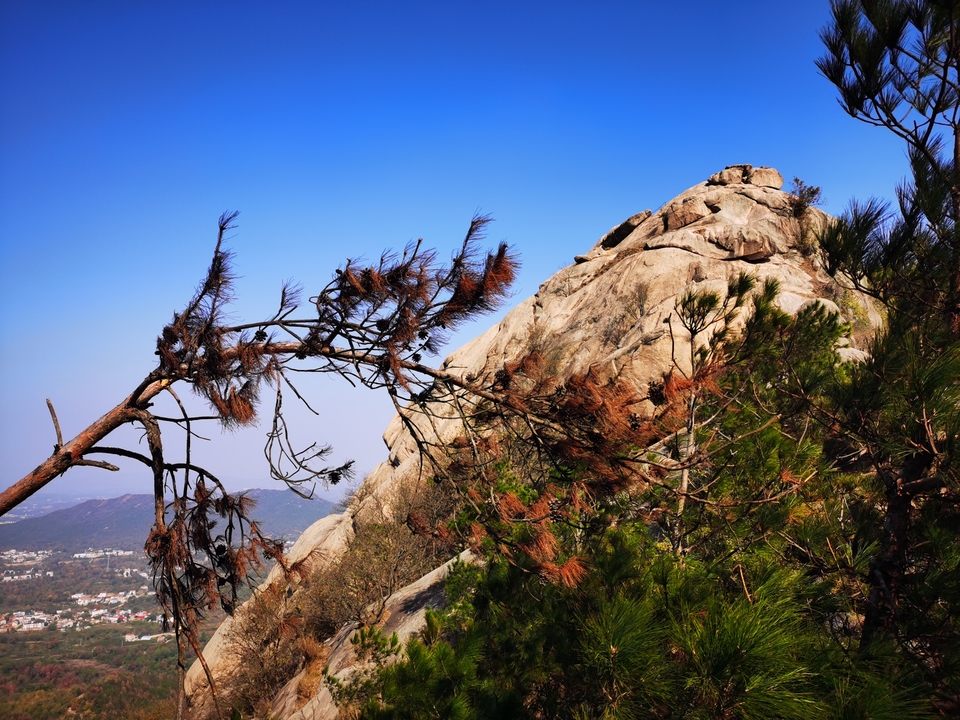 微信图片_20241106185809