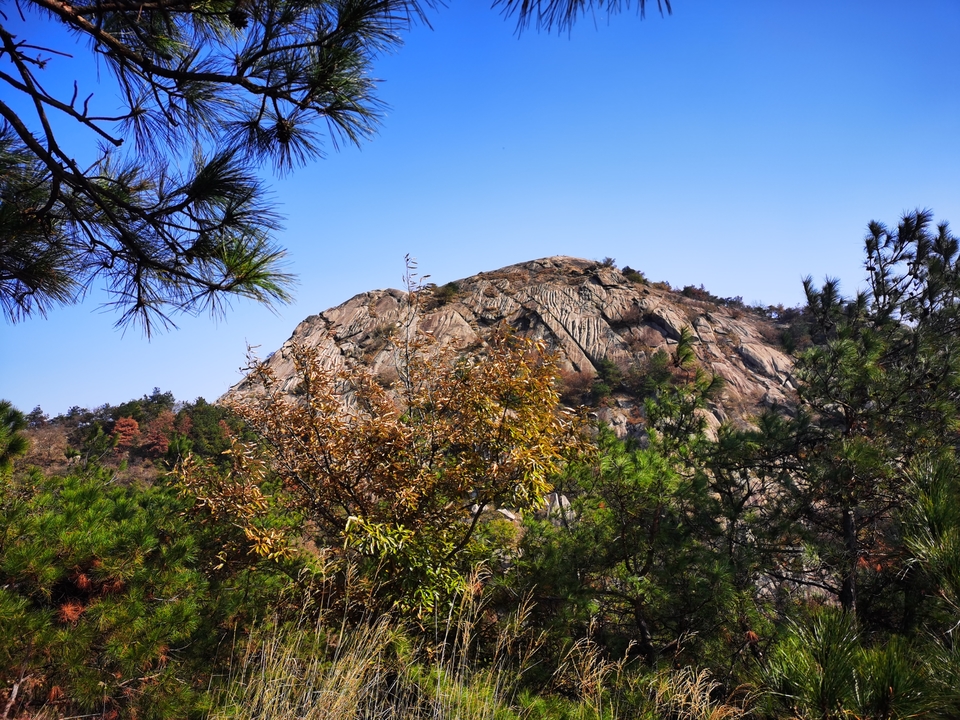 微信图片_20241106185816