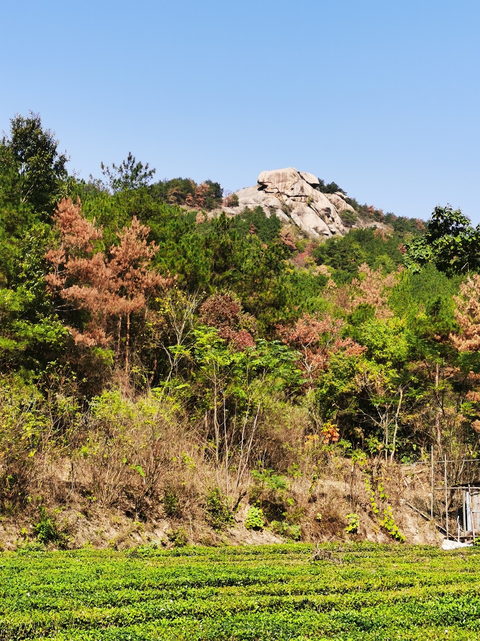 微信图片_20241106190146