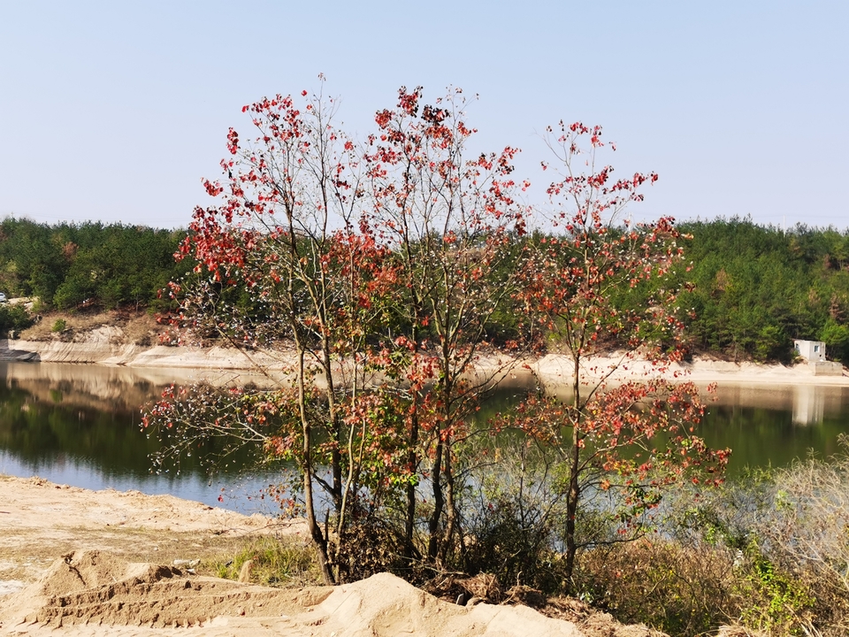 微信图片_20241106190847