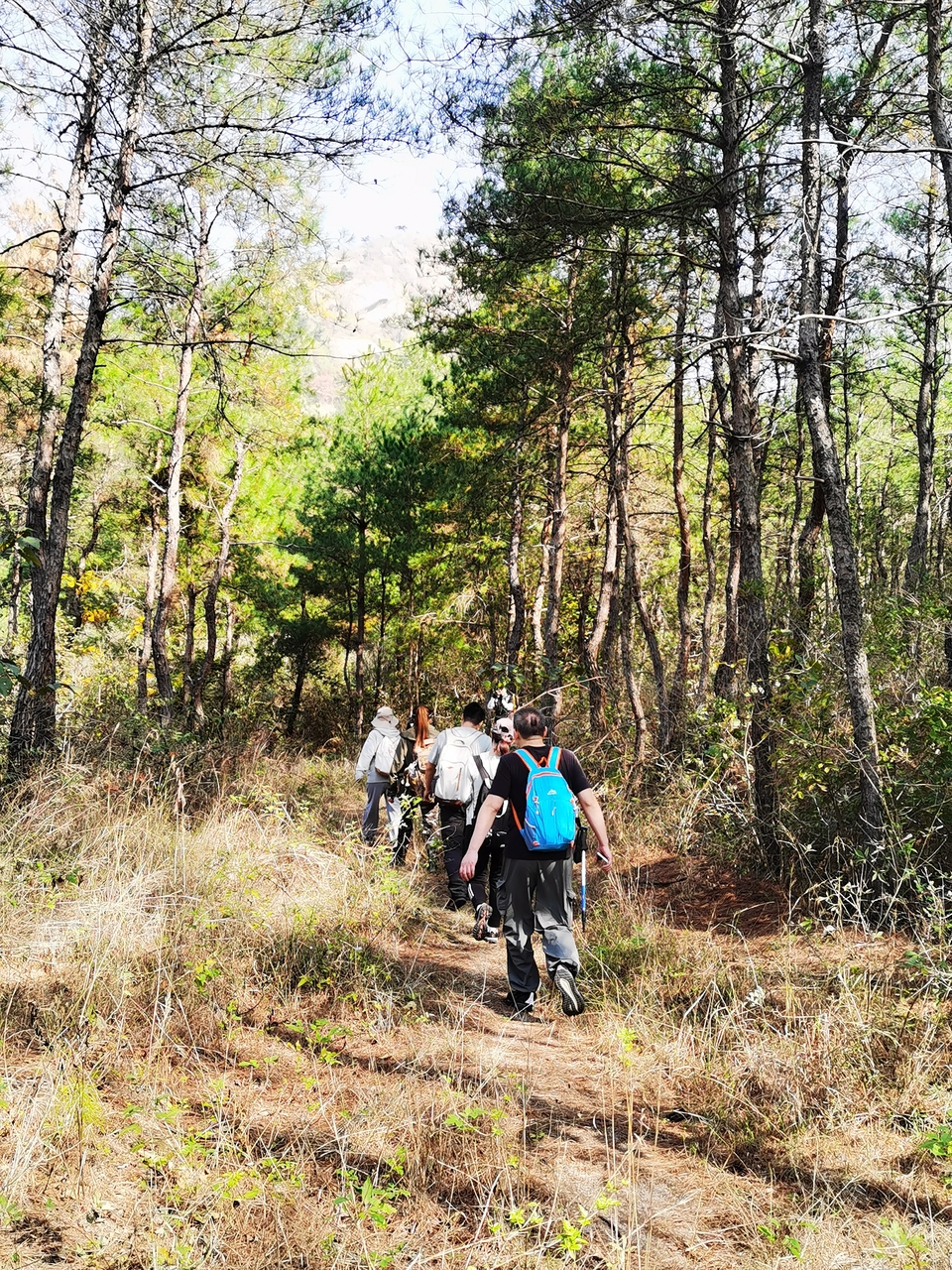 微信图片_20241106190851