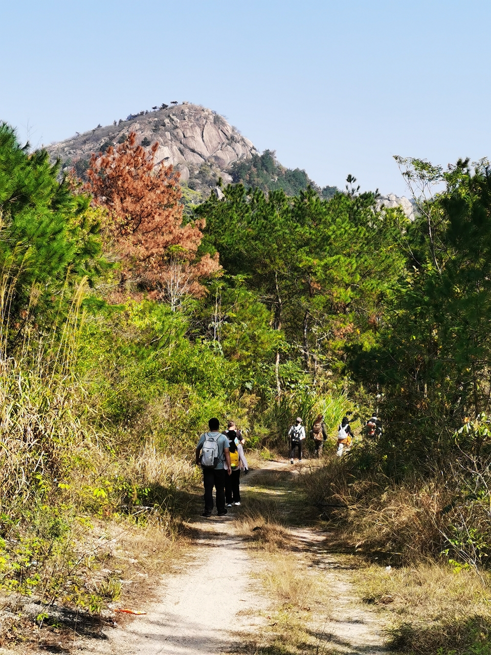 微信图片_20241106190924