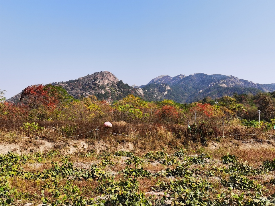 微信图片_20241106190930