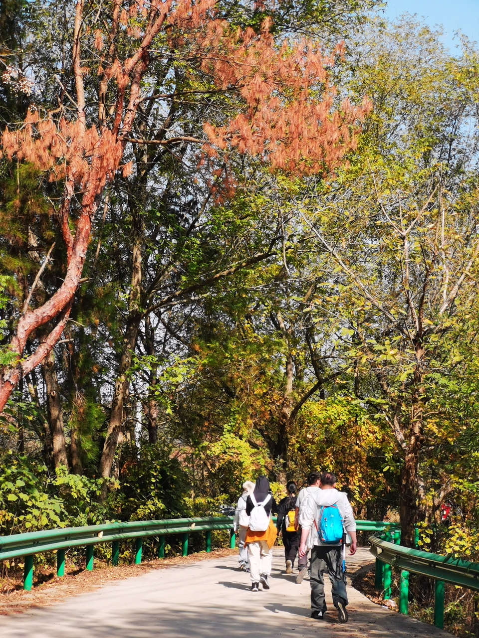 微信图片_20241106190957