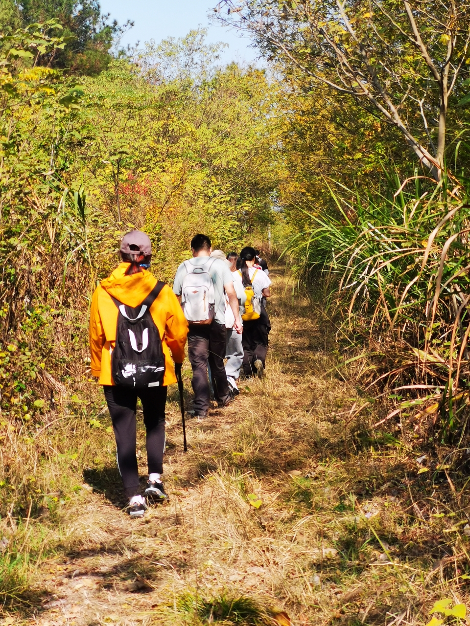 微信图片_20241106191002