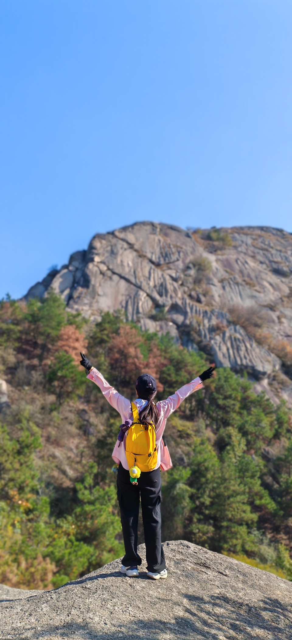 微信图片_20241106191454