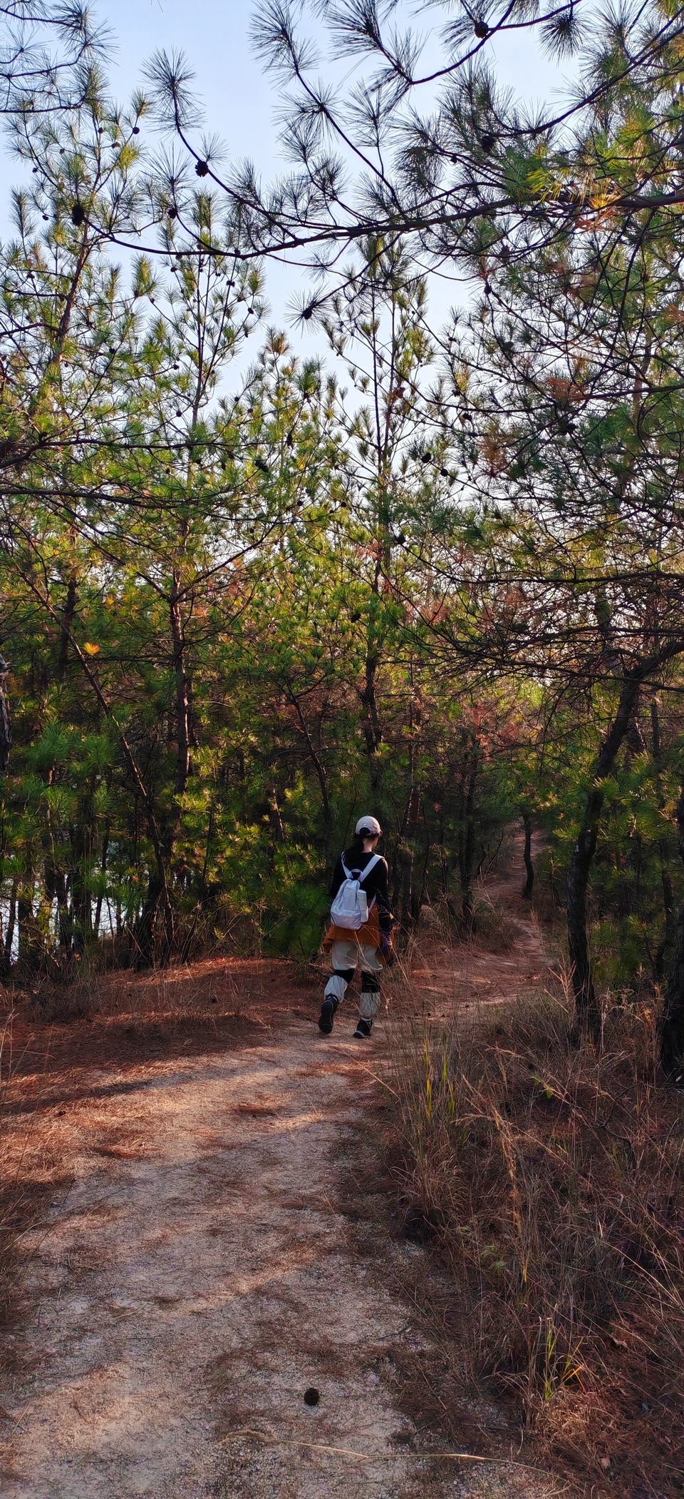 微信图片_20241106191556