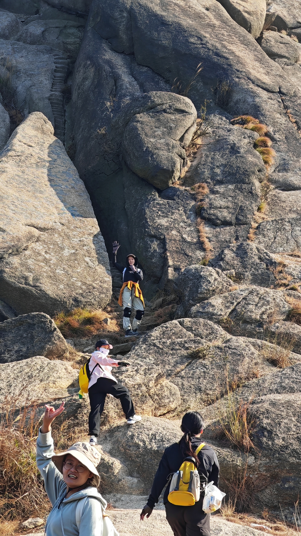 微信图片_20241107102624