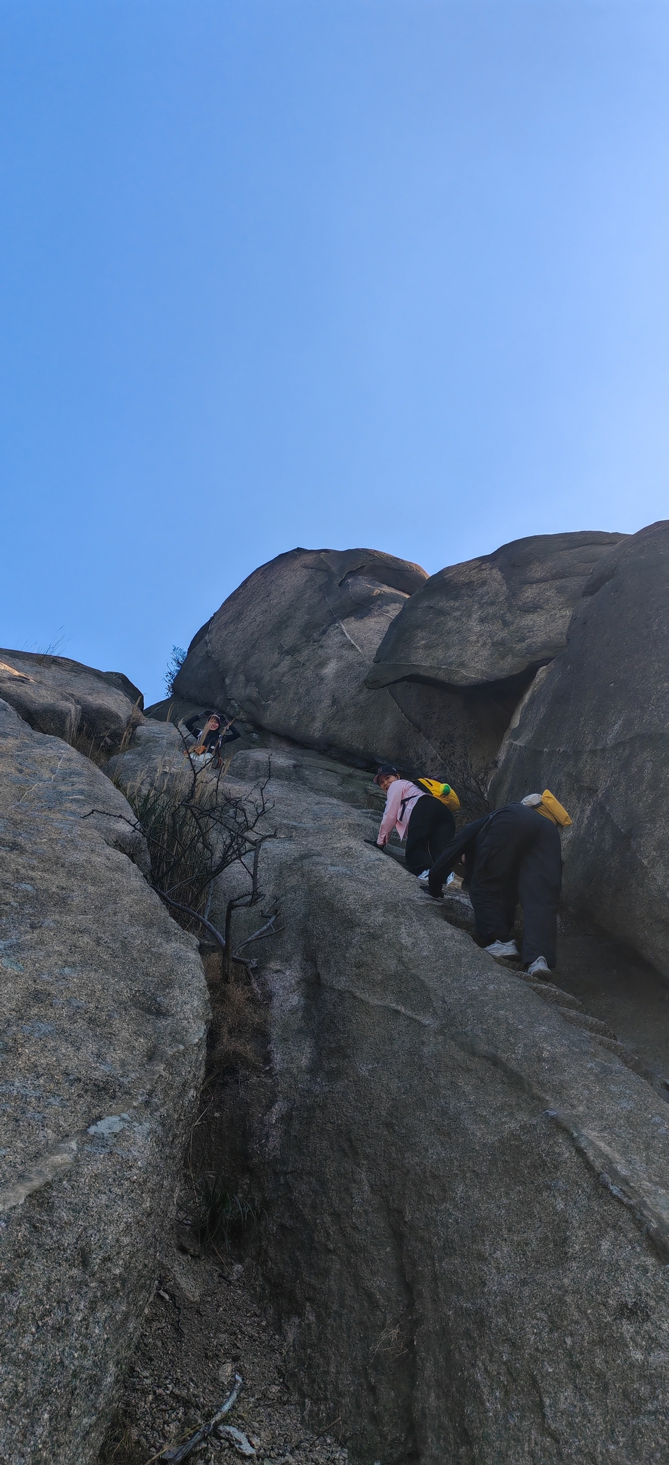 微信图片_20241107102629