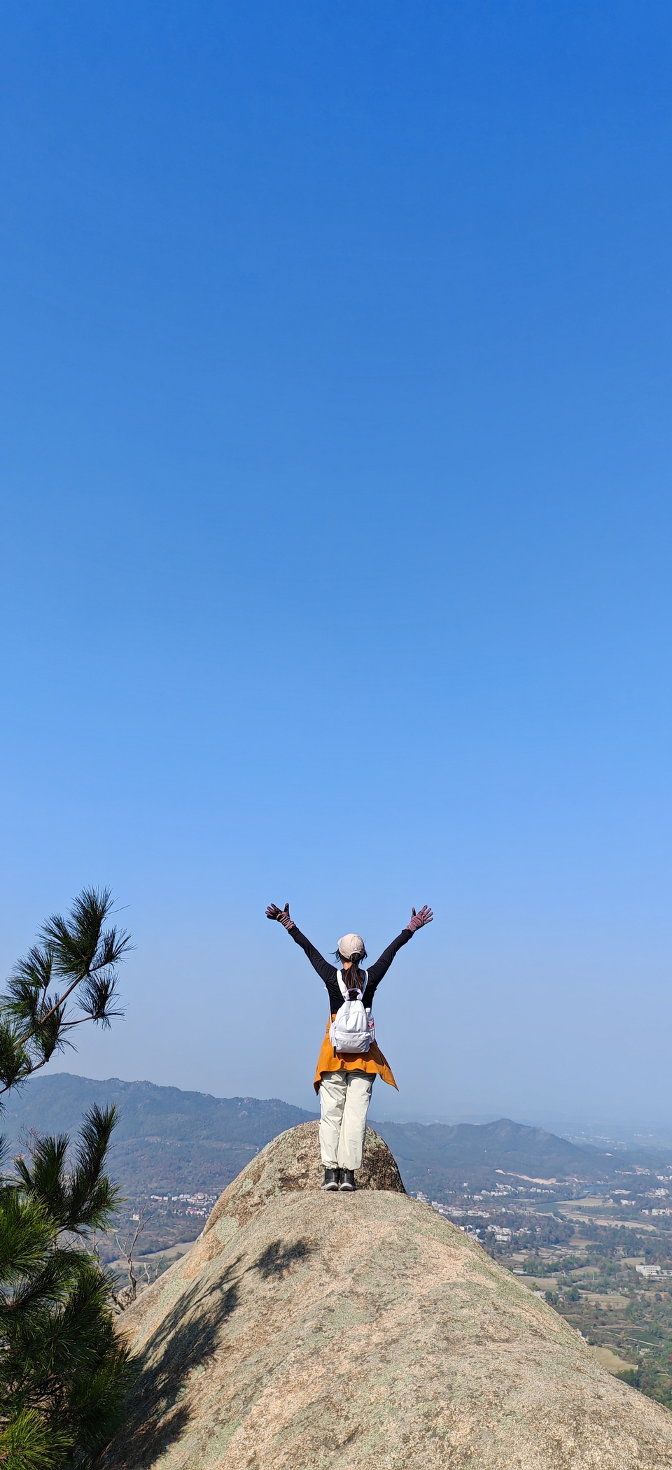 微信图片_20241107102659