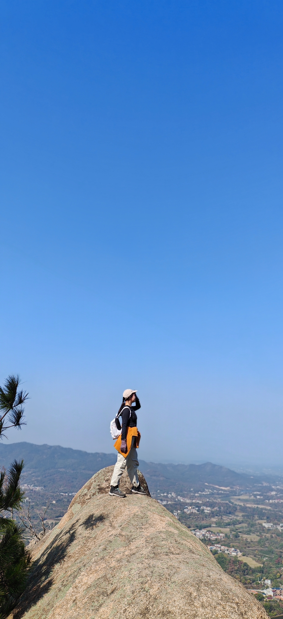 微信图片_20241107102703