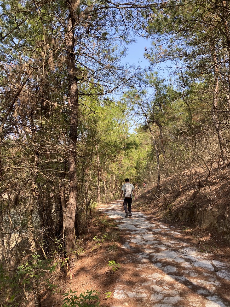 微信图片_20241107103227