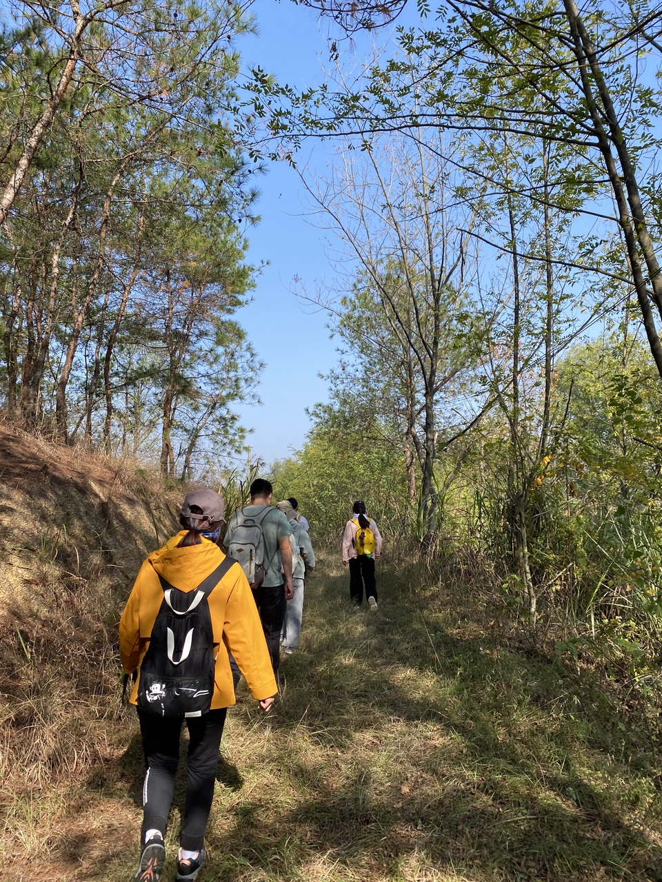 微信图片_20241107103242