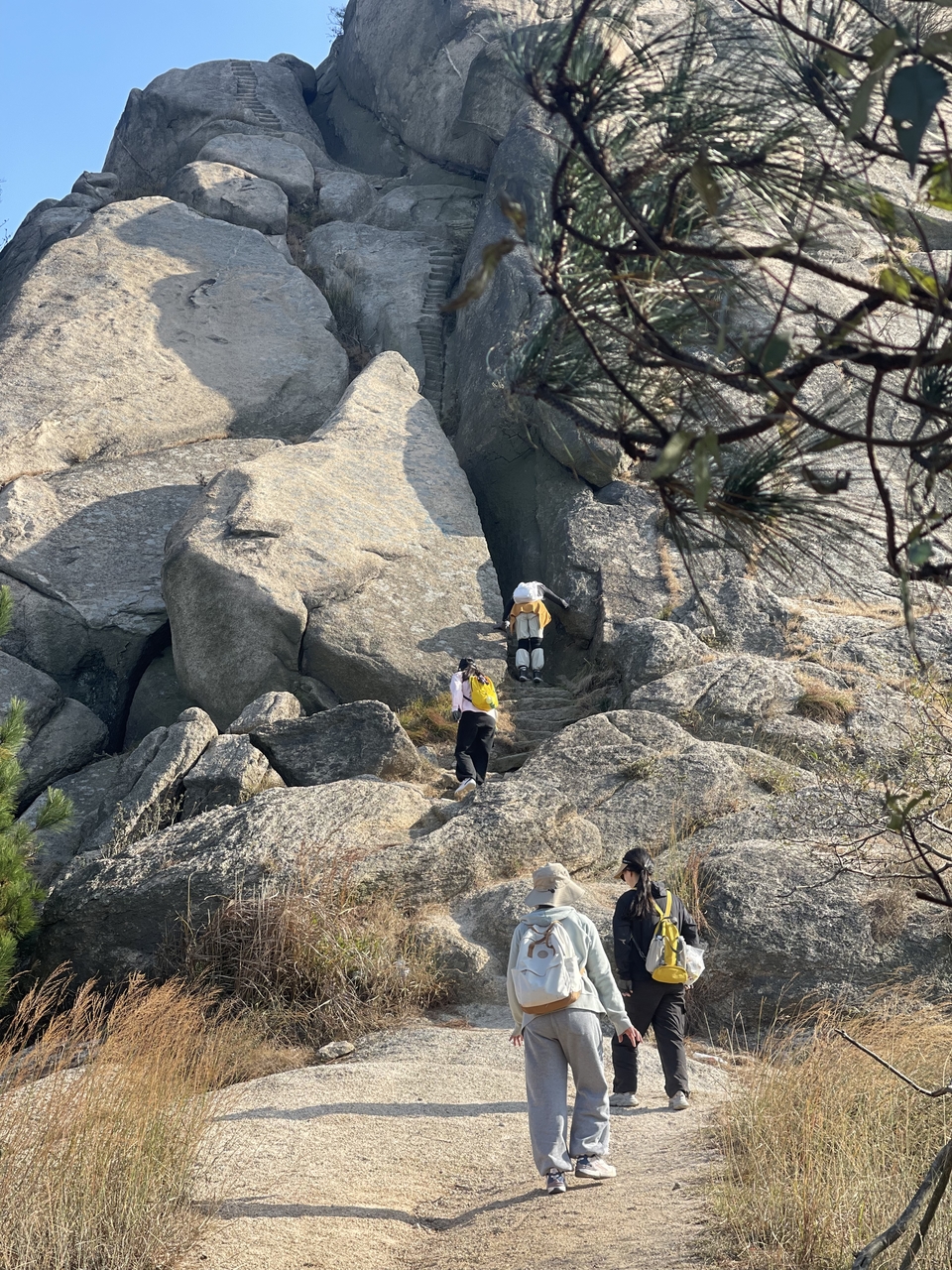 微信图片_20241107103603