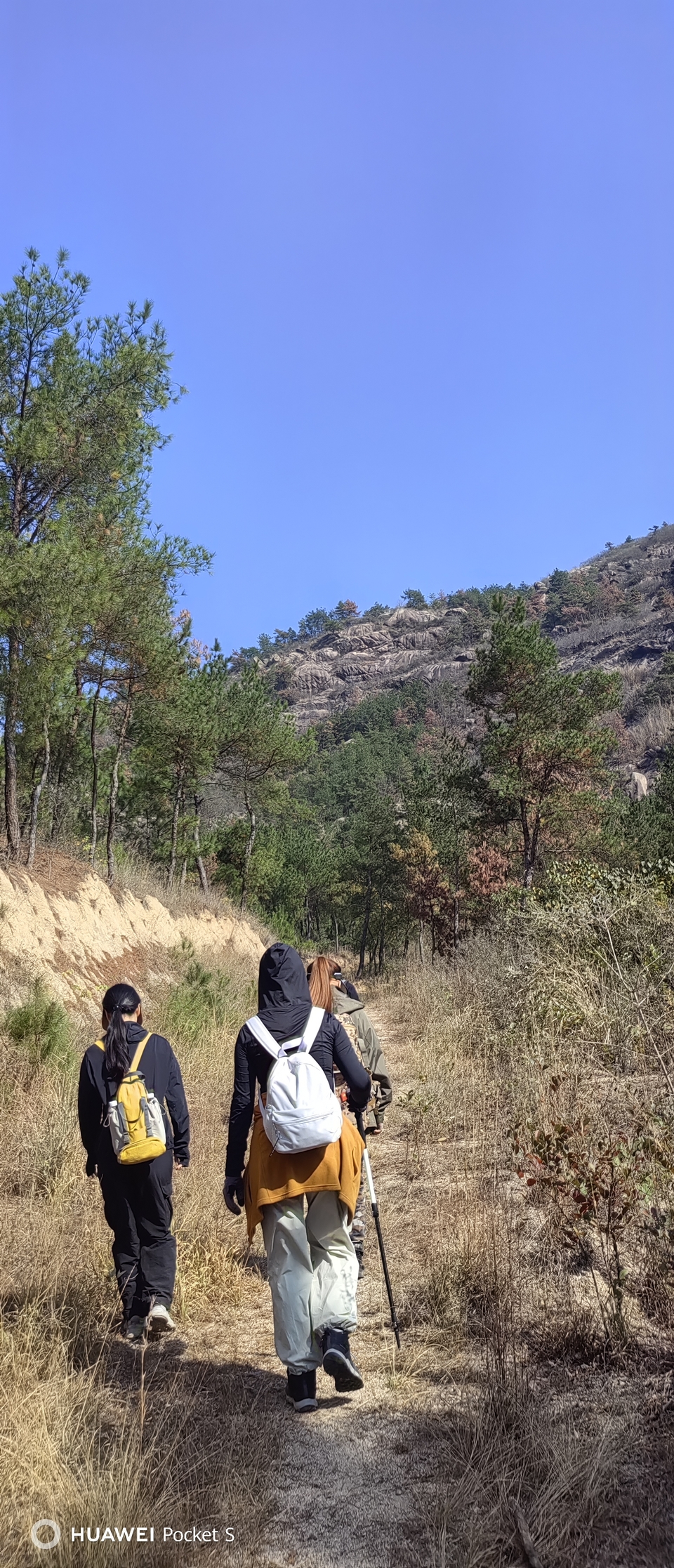 微信图片_20241107103611