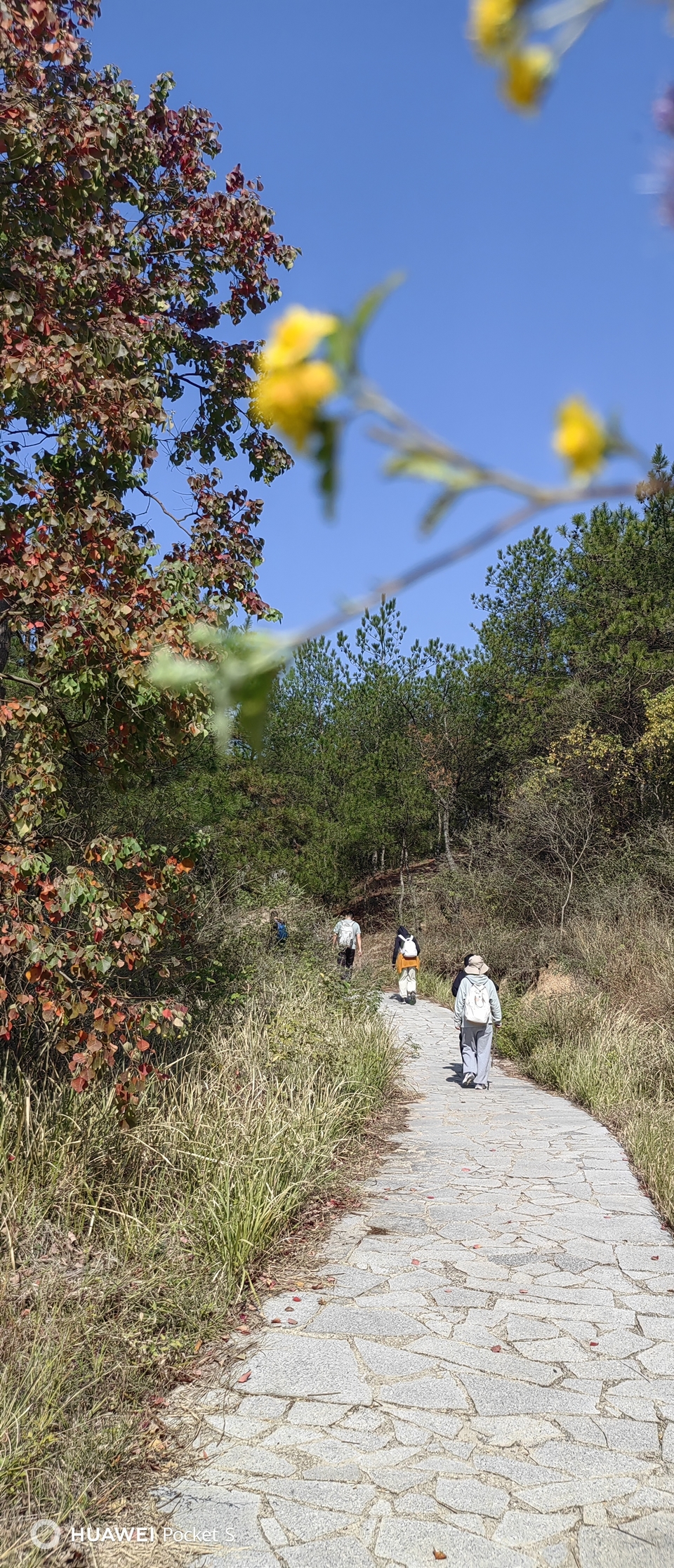 微信图片_20241107103619