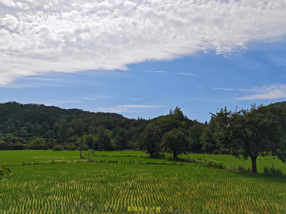 微信图片_20250618100728