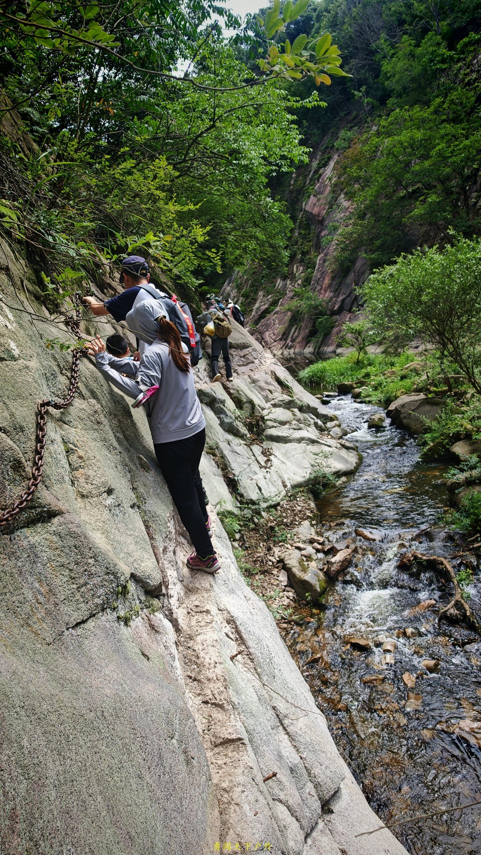 微信图片_20250618100849