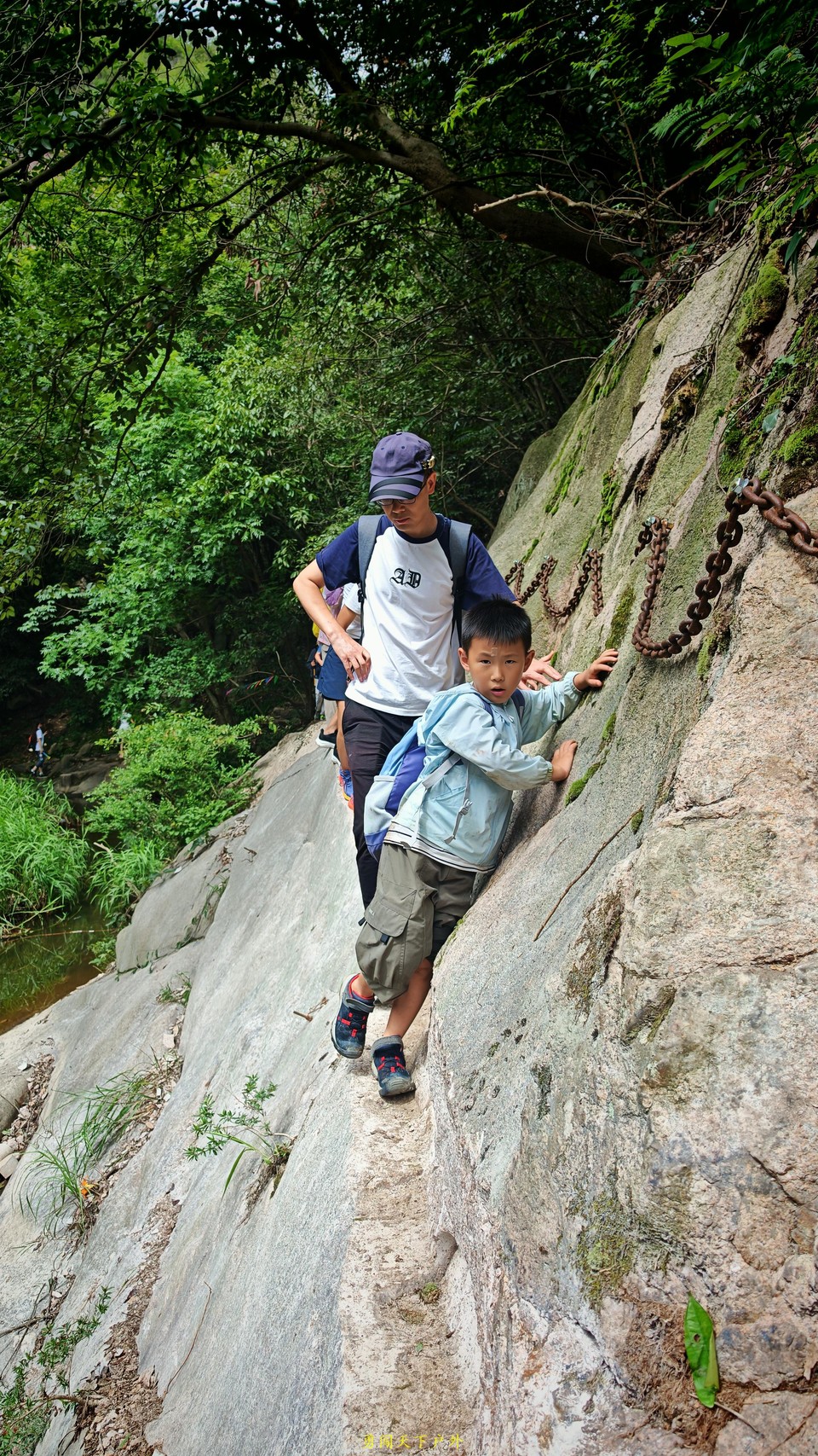 微信图片_20250618100951