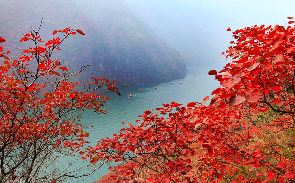 7-9号中国十大徒步路线---巫山三峡(第二期)  巫山红叶,已成为长江