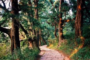 【五一|古蜀道5日游 】5.1-5.5古蜀道-金牛古道 | 黑神话、中国版朝圣之路、天下第一古道5日游