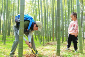 【周日|咸宁徒步挖笋1日游】4.19 崇阳青山水库，官财山踏青亲子挖笋1日游