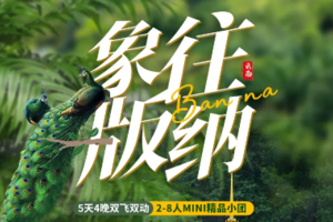 【2025 象往版纳】春城昆明｜西双版纳热带雨林｜5天4晚｜双飞双动风情体验之旅