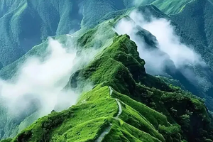 【周边|武功山2日游】每周六狂欢武功山 看日出日落云海星空银河！