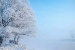 【冬日 |雪国列车5日游】深度纯玩5天4晚丨北极村+北红村+圣诞村+龙江第一湾+中国最北点+白桦林+马拉爬犁+驯鹿+滑雪