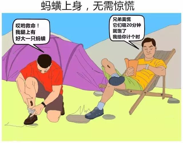 户外知识|小吸血虫蚂蟥防范指南!