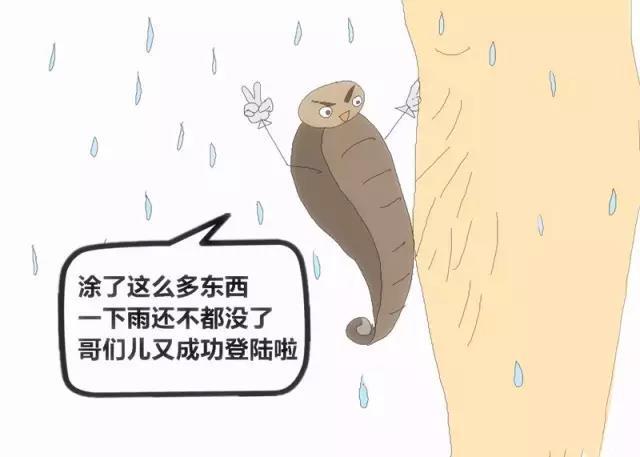 户外知识|小吸血虫蚂蟥防范指南!