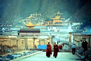 甘肃甘南 《世界藏学府》拉卜楞寺 纪录片