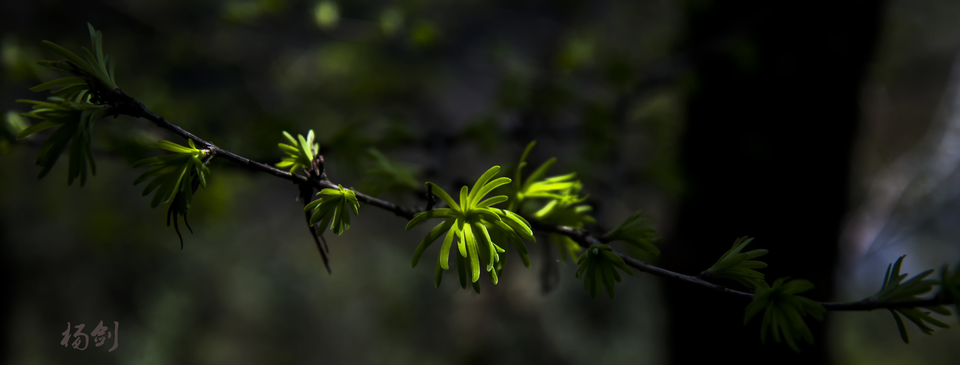 DSC_3664 拷贝.jpg1