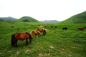 “巅峰湖南·2019”六大名山登山赛（八面山站）