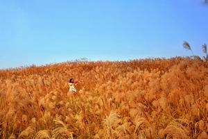 冷水江市庆祝新中国成立七十周年  “锡矿山红军行”徒步越野活动