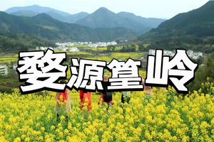 【精品小团，婺源篁岭3日】行摄中国最美油菜花海，烟雨婺源人家，打卡600年篁岭古村