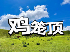 1天【11/12/15/16/18/19日】【直达山脚】徒步鸡笼顶，粤西醉美高山大草原