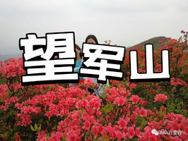 【11/12/18/19日】清远望军山登山赏野杜鹃红似火，登山不累，珍惜花期