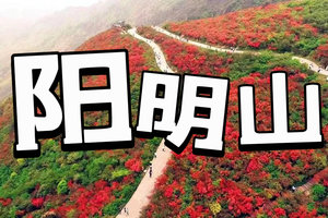五一【阳明山杜鹃花3天】杜鹃花开，月岩、上甘棠、黄姚古镇、零陵古城